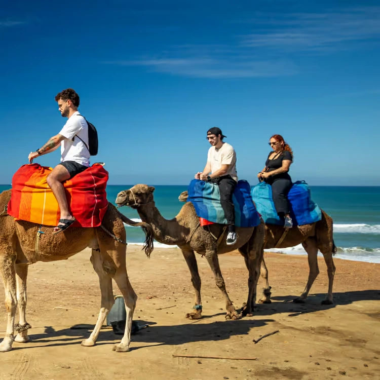 From Tangier: Private Tour to Chefchaouen with Camel Ride and Cap Spartel Visit