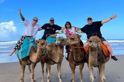 From Tangier: Private Tour to Chefchaouen with Camel Ride and Cap Spartel Visit