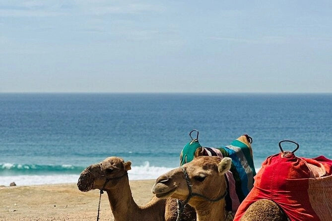 From Tangier: Private Tour to Chefchaouen with Camel Ride and Cap Spartel Visit