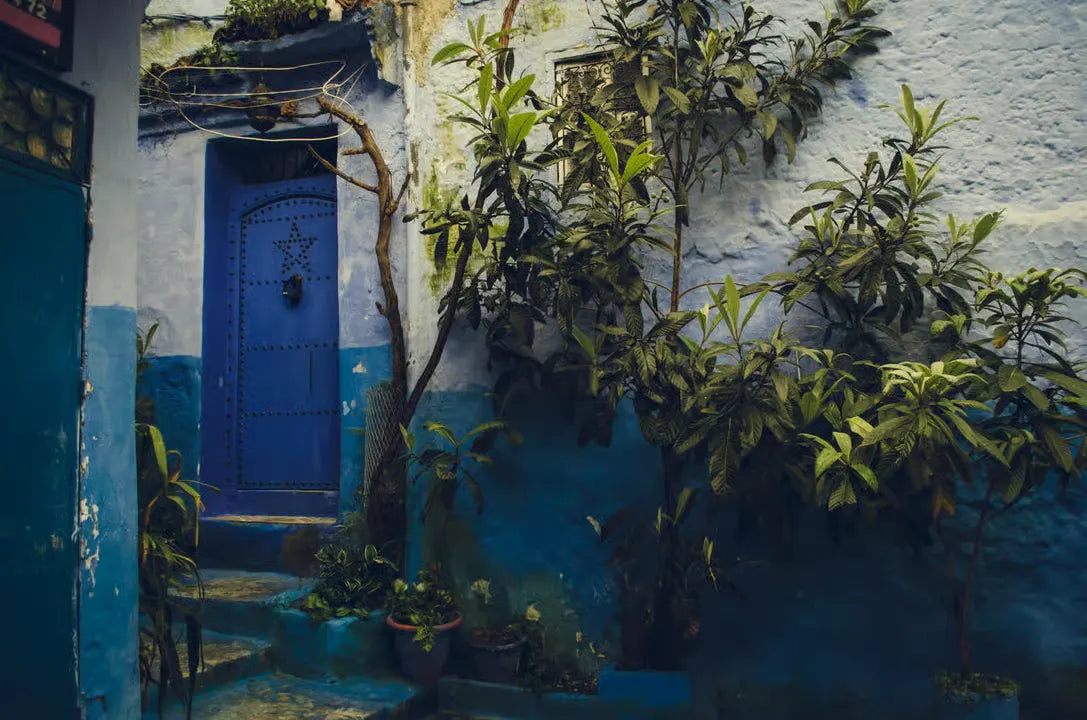 From Tangier: Private Tour to Chefchaouen with Camel Ride and Cap Spartel Visit