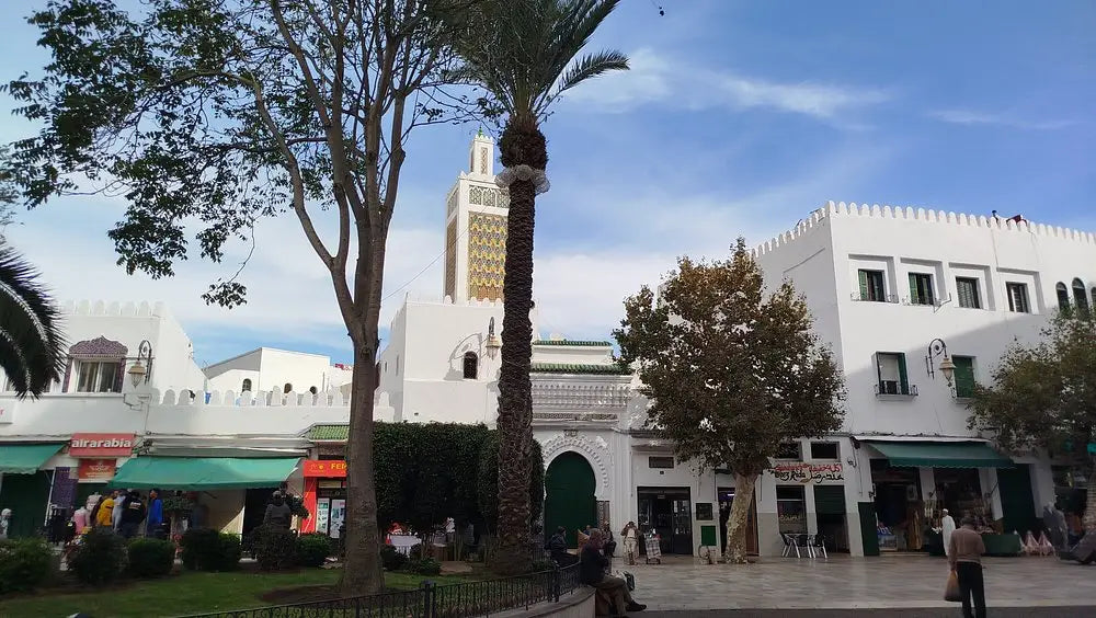 From Tanger: excursie ghidată de jumătate de zi în Medina din Tétouan