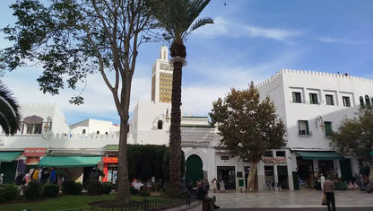 From Tanger: excursie ghidată de jumătate de zi în Medina din Tétouan