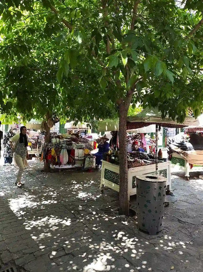 From Tanger: excursie ghidată de jumătate de zi în Medina din Tétouan