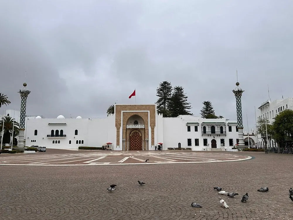 From Tanger: excursie ghidată de jumătate de zi în Medina din Tétouan