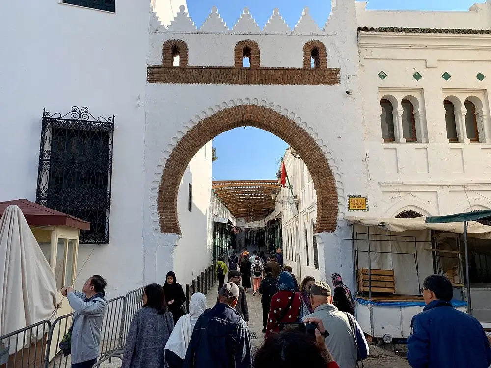 From Tanger: excursie ghidată de jumătate de zi în Medina din Tétouan