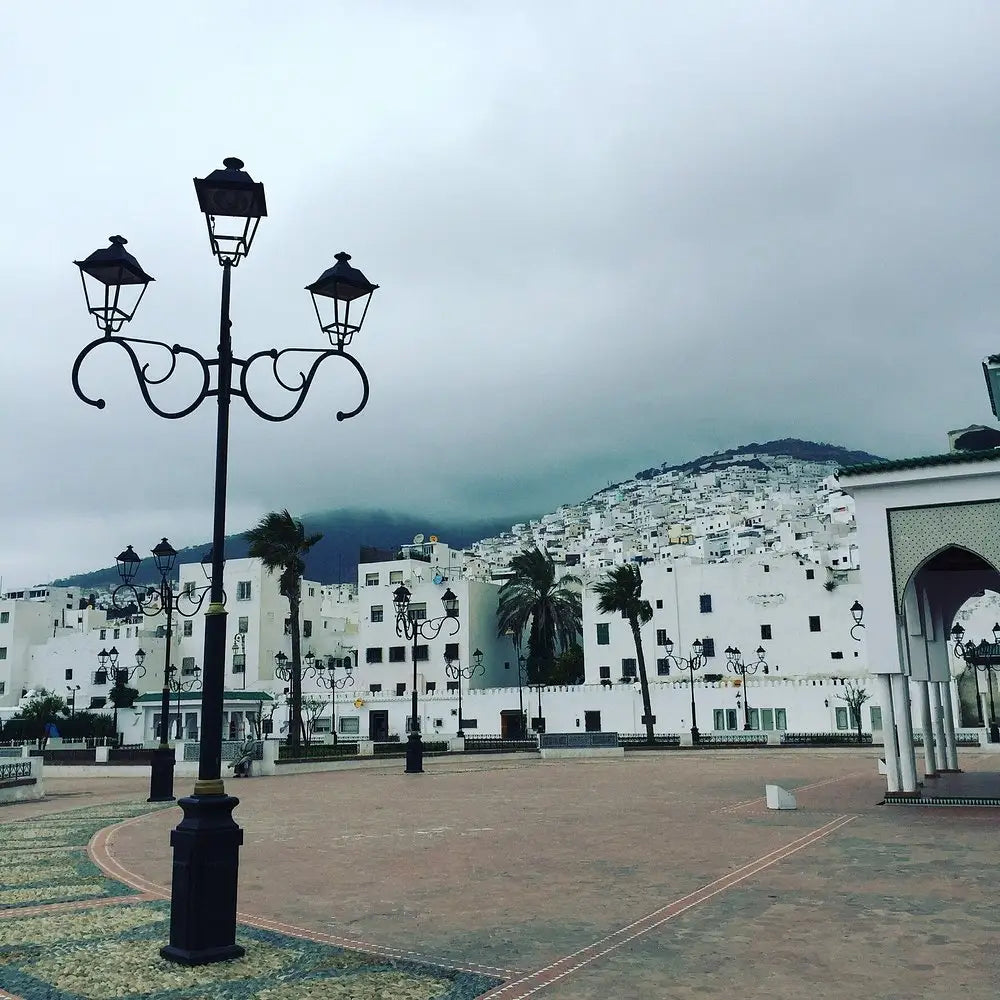 From Tanger: excursie ghidată de jumătate de zi în Medina din Tétouan