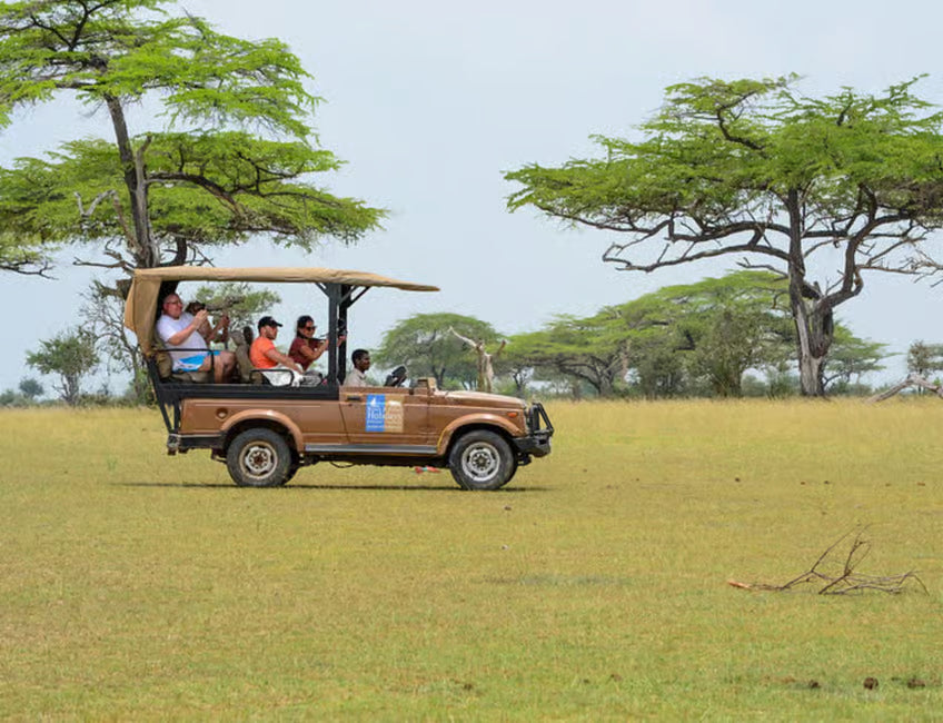 Da Zanzibar: Safari di un giorno alla Riserva di Selous con voli e pranzo nella savana