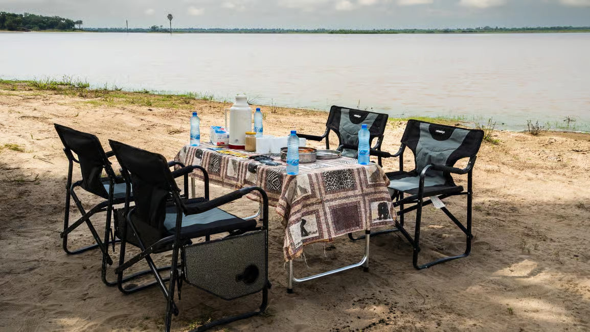 Da Zanzibar: Safari di un giorno alla Riserva di Selous con voli e pranzo nella savana