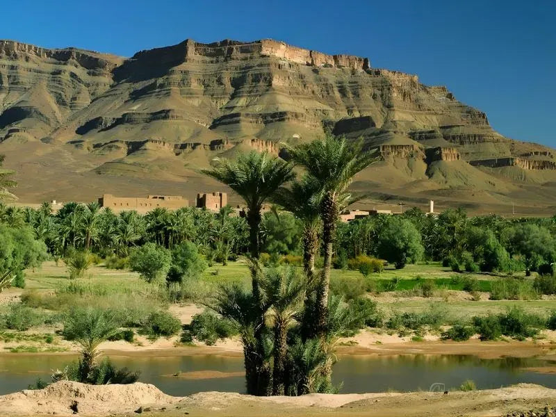 Disfruta de un almuerzo en el valle del Drâa