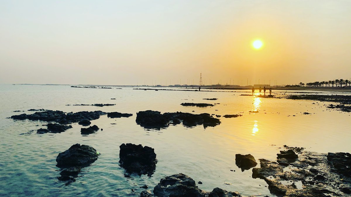 De Doha: Tour de Cultura e História do Norte e Oeste do Catar