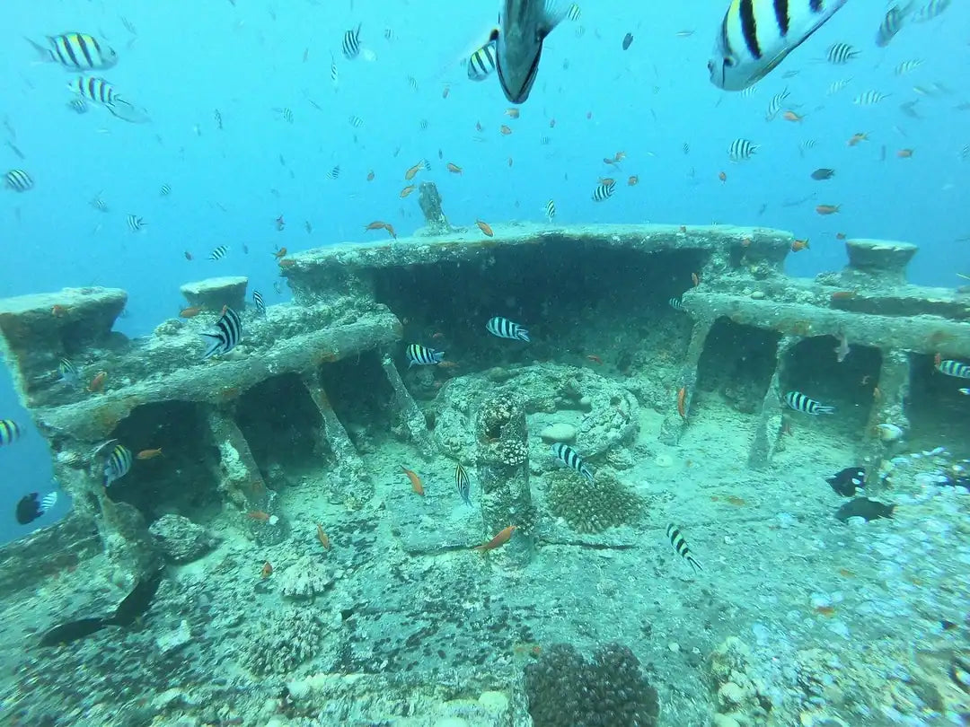 Dykk på Thistlegorm og Rosalie Moller