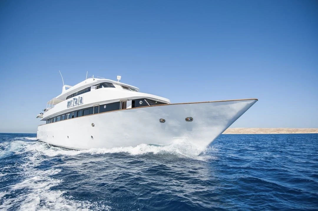 Cruise over Rødehavet