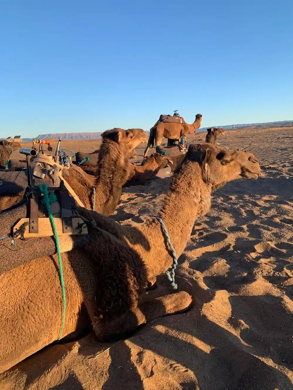 From Fès: 3-tägige Sahara-Tour nach Merzouga, Ouarzazate und Marrakesch