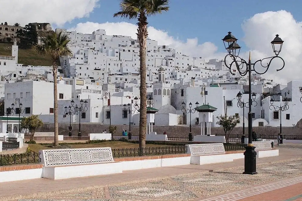 Begin Guided tour of Tetouan Medina and City
