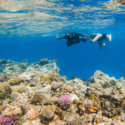 Marsa Alam: Schnorchel-Bootsfahrt im Coral Garden mit Mittagessen