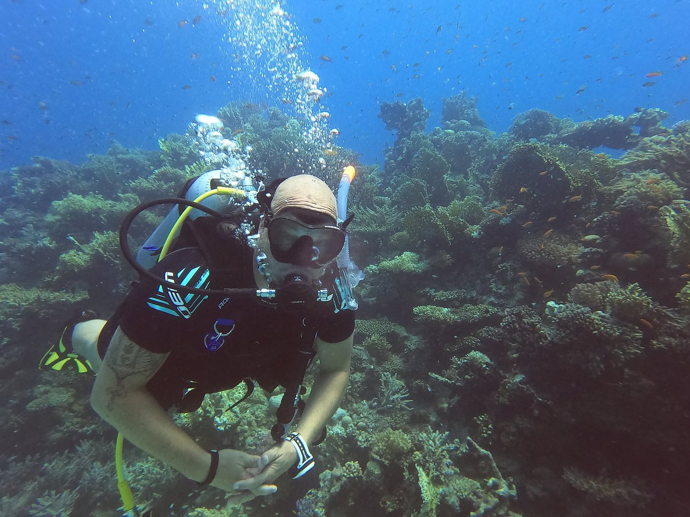 El Gouna: Introductieduik voor Beginners