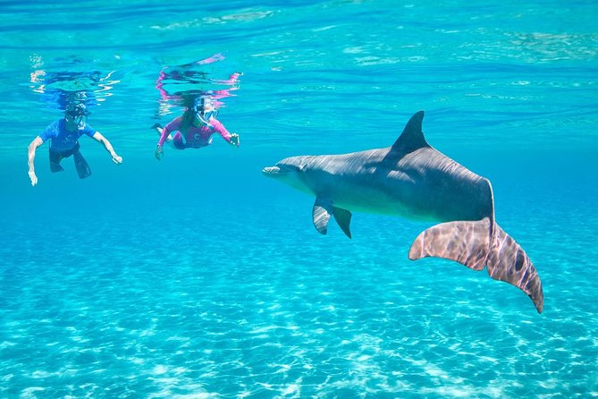 Hurghada: Dolphin House-tur med snorkling och tur med bananbåt