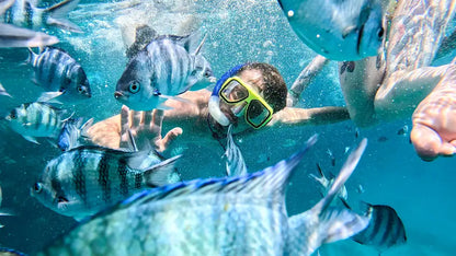 Hurghada: Dolphin House-tur med snorkling och tur med bananbåt