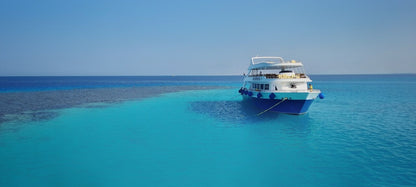 Hurghada: Dolphin House-tur med snorkling och tur med bananbåt