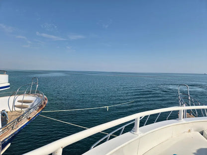 Hurghada: Dolphin House-tur med snorkling och tur med bananbåt