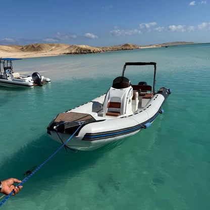 Hurghada: Experiență privată cu barcă rapidă pentru observarea delfinilor