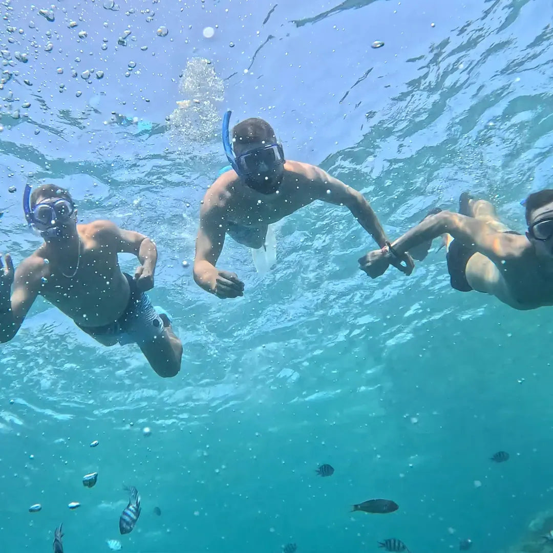 Hurghada: Experiență privată cu barcă rapidă pentru observarea delfinilor