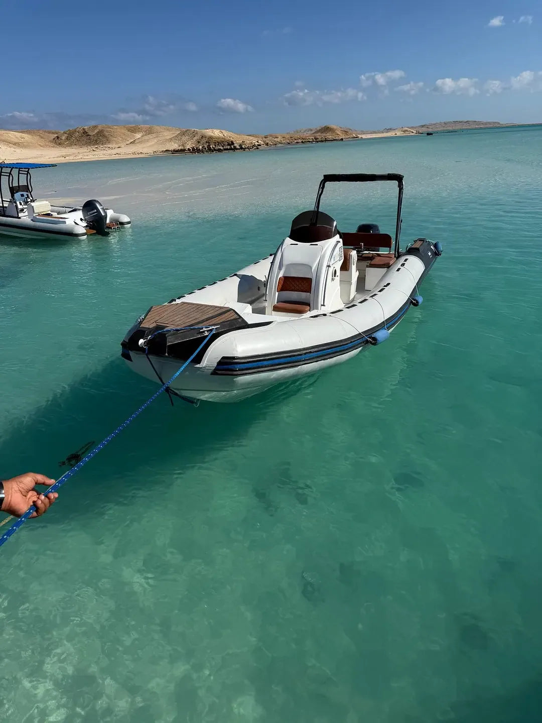 Hurghada: Pengalaman Speedboat Pribadi untuk Melihat Lumba-lumba