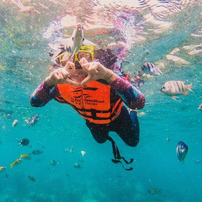 Hurghada: Experiență privată cu barcă rapidă pentru observarea delfinilor