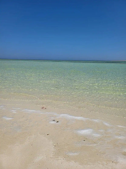 Hurghada: Experiență privată cu barcă rapidă pentru observarea delfinilor
