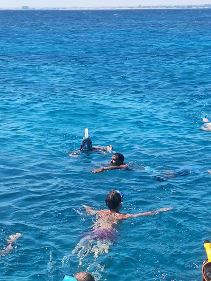 Хургада: тур по наблюдению за дельфинами и подводному плаванию в Dolphin House