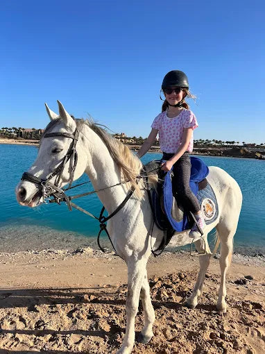 الغردقة: تجربة ركوب الخيل في الصباح