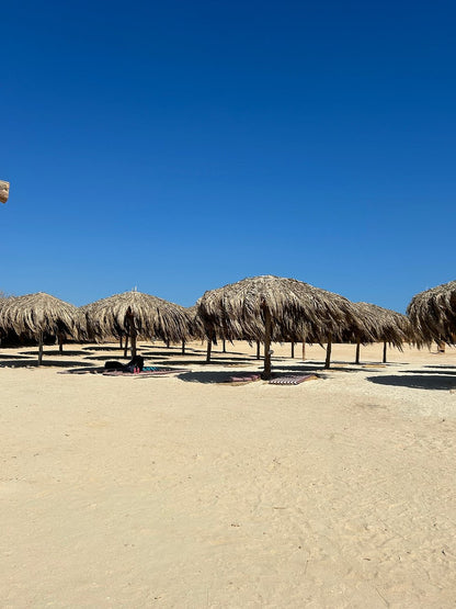 Hurghada: Orange Bay and Snorkeling Cruise Tour with Lunch