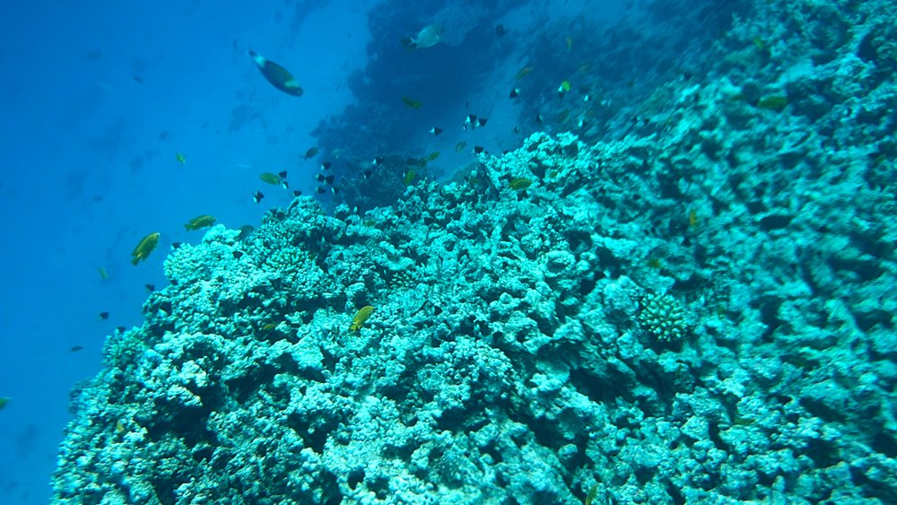 Hurghada: Orange Bay and Snorkeling Cruise Tour with Lunch
