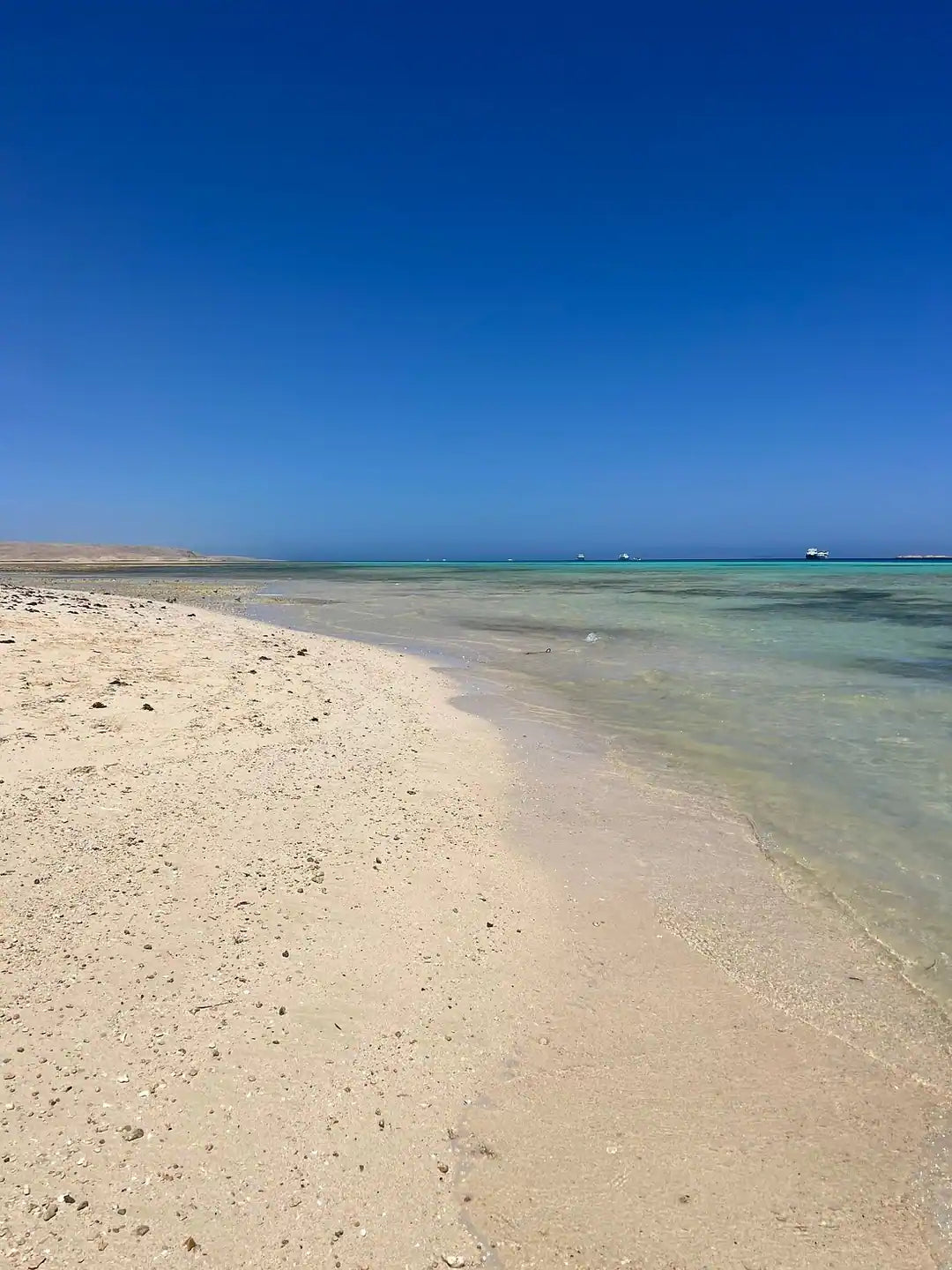 Χουργκάντα: Εκδρομή στο Paradise Island με 2 στάσεις για snorkeling και γεύμα