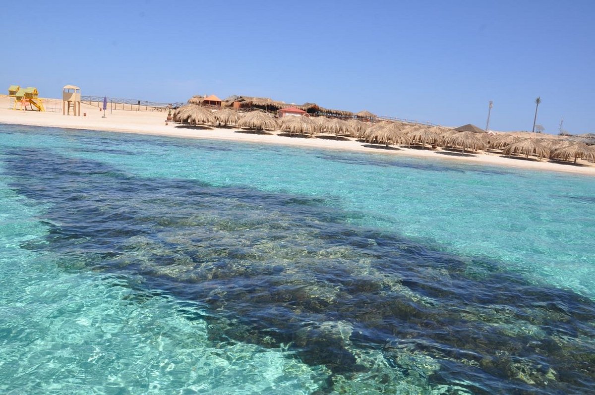 Χουργκάντα: Εκδρομή στο Paradise Island με 2 στάσεις για snorkeling και γεύμα
