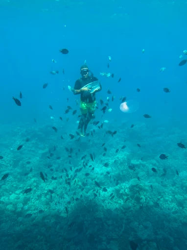 Hurghada: Royal Seascope Glass Boat Submarine Cruise with Snorkeling