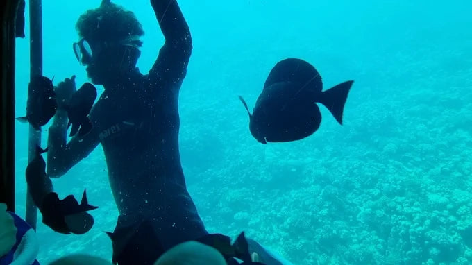 Hurghada: Royal Seascope Glass Boat Submarine Cruise with Snorkeling