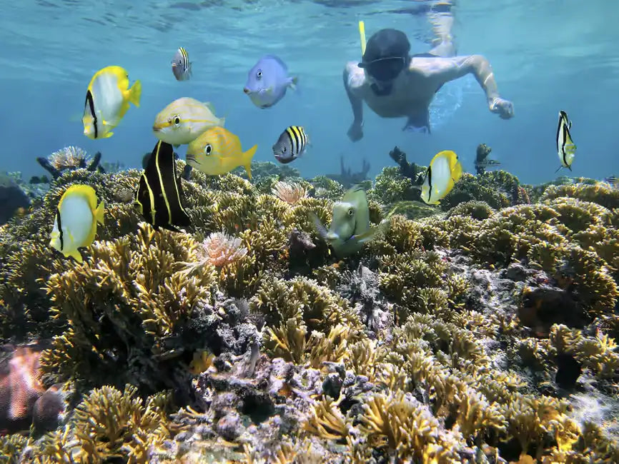 Hurghada: Schnorcheln 6-in-1-Yachtausflug mit Mittagsbuffet