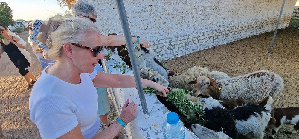 Hurghada: Stargazing Desert Trip by 4x4 Jeep and Dinner