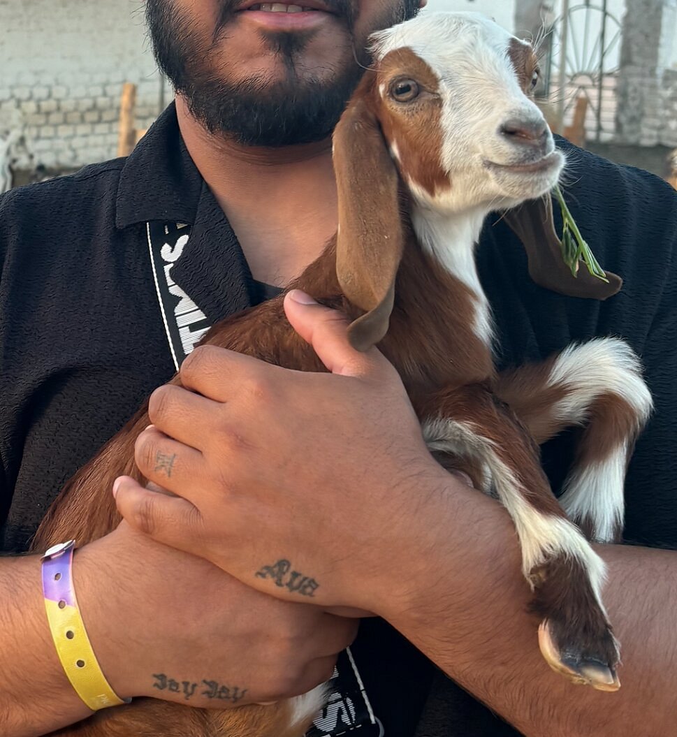 Hurghada: Stargazing Desert Trip by 4x4 Jeep and Dinner