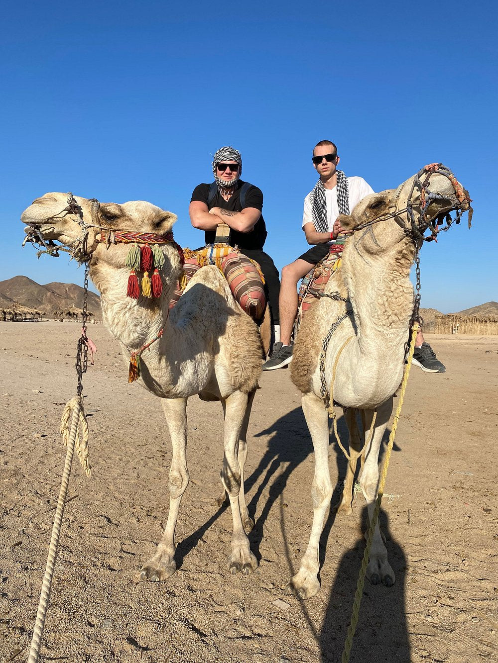 Hurghada: Stargazing Desert Trip by 4x4 Jeep and Dinner