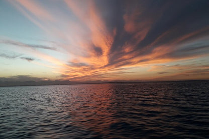 Hurghada: experiencia en Sunset Islands y snorkel en lancha rápida