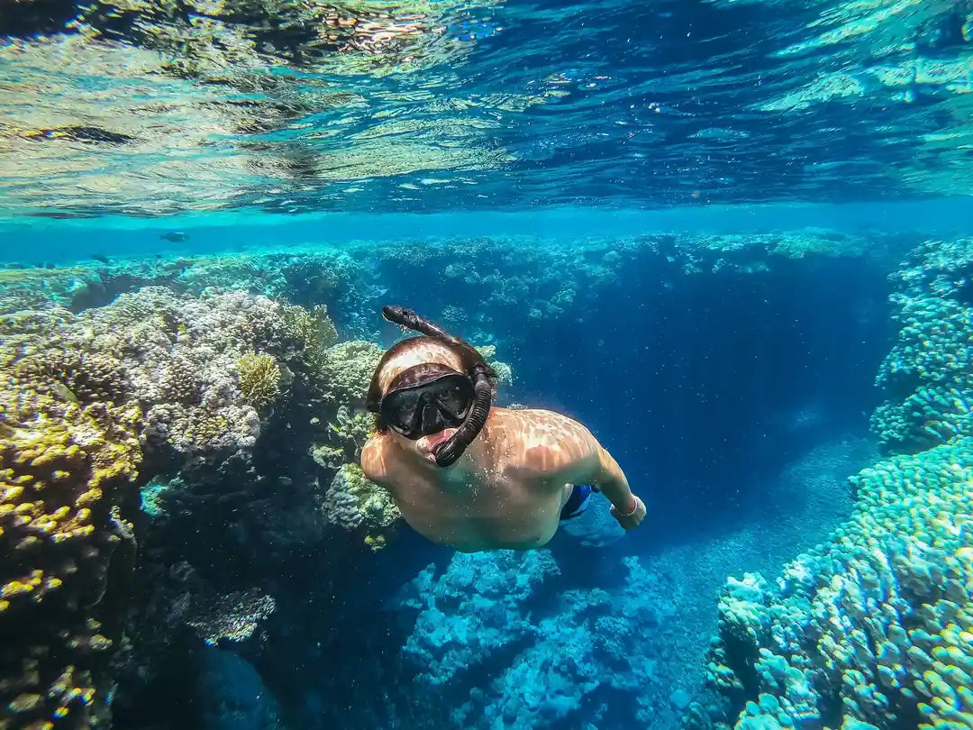 2回目のシュノーケリングストップとウォータースポーツ