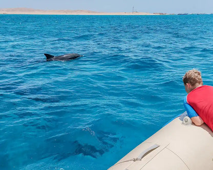 Hurghada: Experiență privată cu barcă rapidă pentru observarea delfinilor