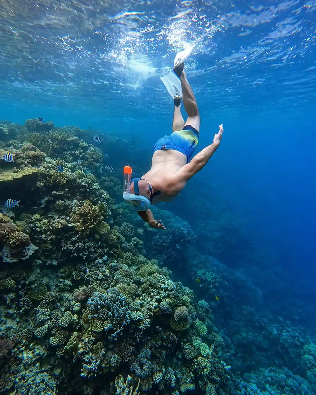 Hurghada: Excursie pe Insula Orange Bay cu barcă privată de mare viteză