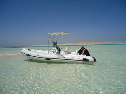 Hurghada: Experiență privată cu barcă rapidă pentru observarea delfinilor