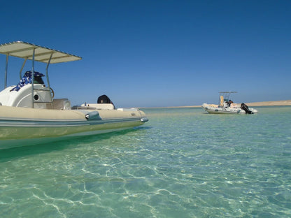 Hurghada: prywatny rejs szybką łodzią na wyspy i snorkeling