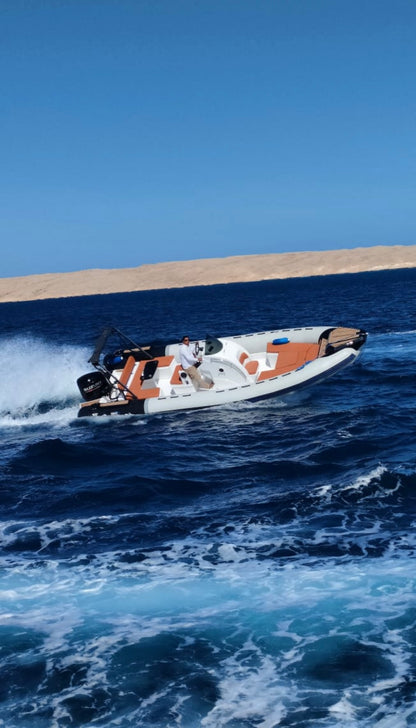 Hurghada: Delfinbeobachtungs-Schnellboot-Erlebnis