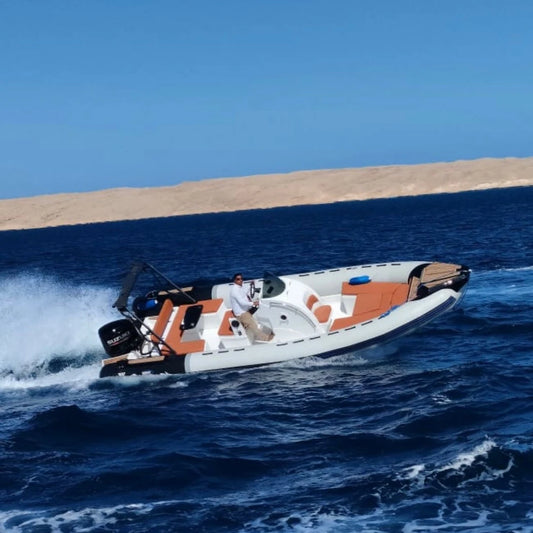 Hurghada : expérience privée en hors-bord d’observation des dauphins