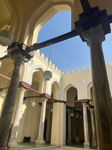 Il Cairo: tour guidato del Palazzo Manial e della Moschea di Ibn Tulun